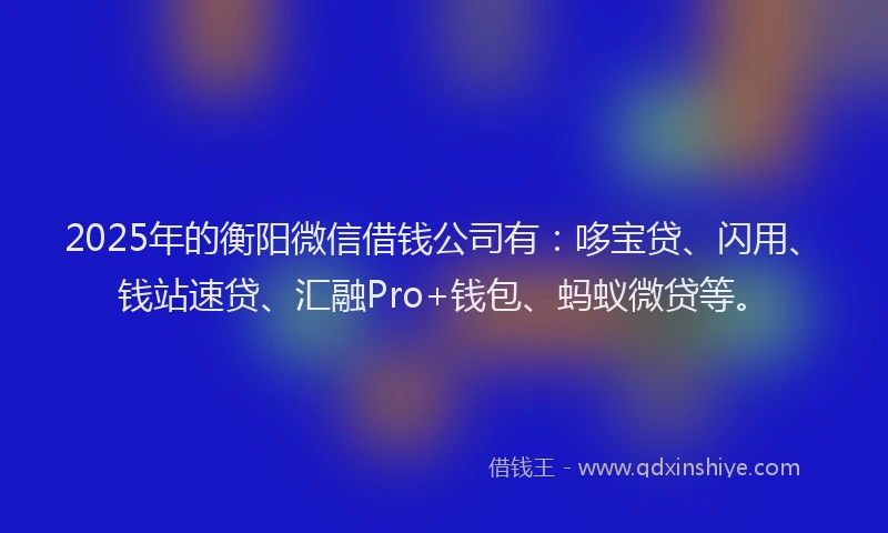 2025年的衡阳微信借钱公司有：哆宝贷、闪用、钱站速贷、汇融Pro+钱包、蚂蚁微贷等。