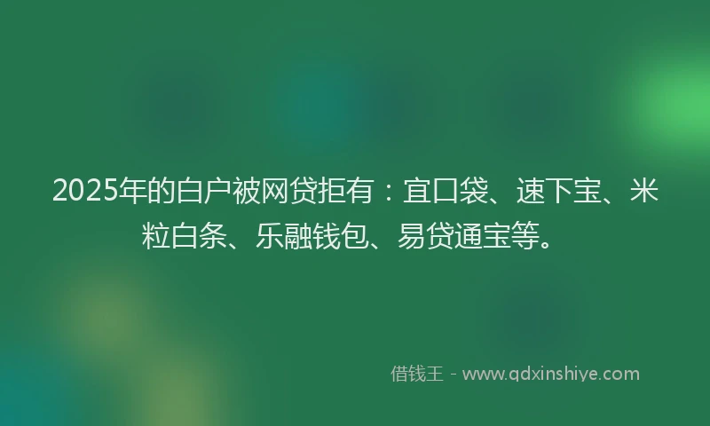 2025年的白户被网贷拒有：宜口袋、速下宝、米粒白条、乐融钱包、易贷通宝等。