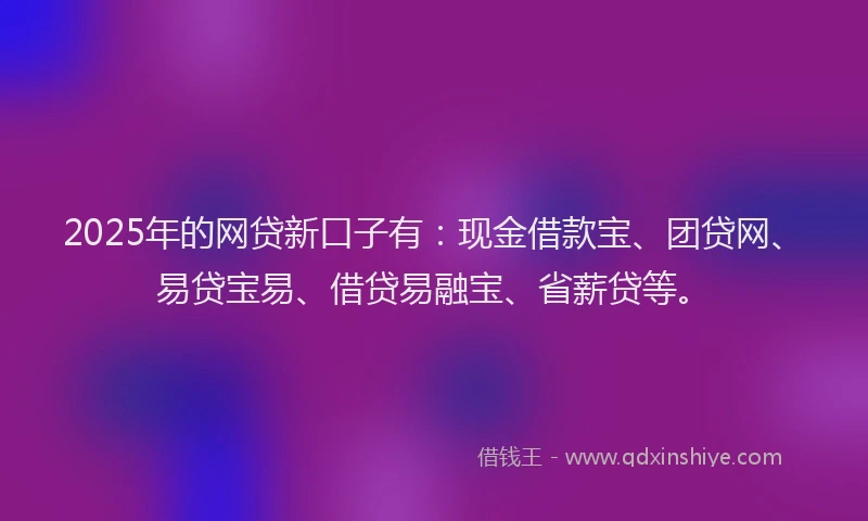 2025年的网贷新口子有：现金借款宝、团贷网、易贷宝易、借贷易融宝、省薪贷等。