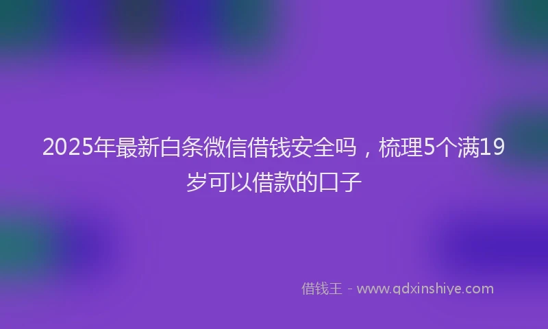 2025年最新白条微信借钱安全吗，梳理5个满19岁可以借款的口子