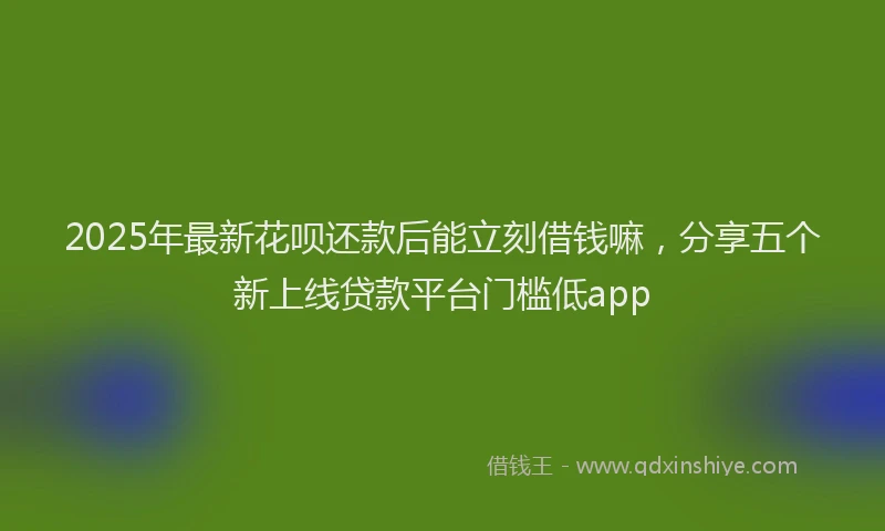 2025年最新花呗还款后能立刻借钱嘛，分享五个新上线贷款平台门槛低app