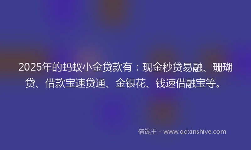 2025年的蚂蚁小金贷款有：现金秒贷易融、珊瑚贷、借款宝速贷通、金银花、钱速借融宝等。