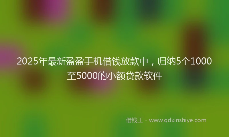 2025年最新盈盈手机借钱放款中，归纳5个1000至5000的小额贷款软件