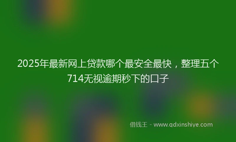2025年最新网上贷款哪个最安全最快，整理五个714无视逾期秒下的口子