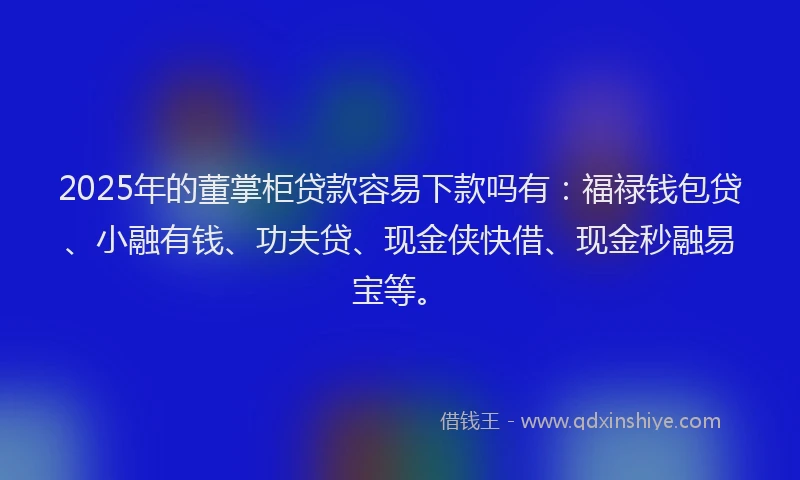 2025年的董掌柜贷款容易下款吗有：福禄钱包贷、小融有钱、功夫贷、现金侠快借、现金秒融易宝等。