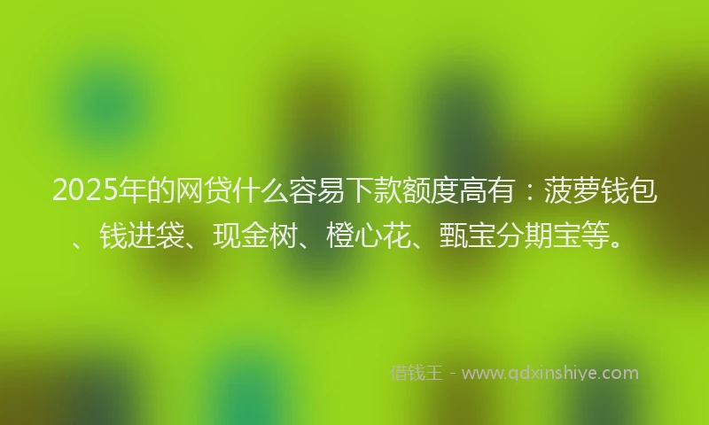 2025年的网贷什么容易下款额度高有：菠萝钱包、钱进袋、现金树、橙心花、甄宝分期宝等。