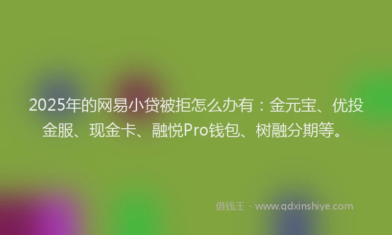 2025年的网易小贷被拒怎么办有：金元宝、优投金服、现金卡、融悦Pro钱包、树融分期等。