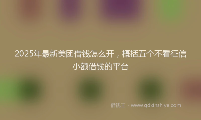 2025年最新美团借钱怎么开，概括五个不看征信小额借钱的平台