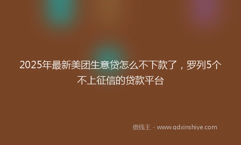 2025年最新美团生意贷怎么不下款了，罗列5个不上征信的贷款平台