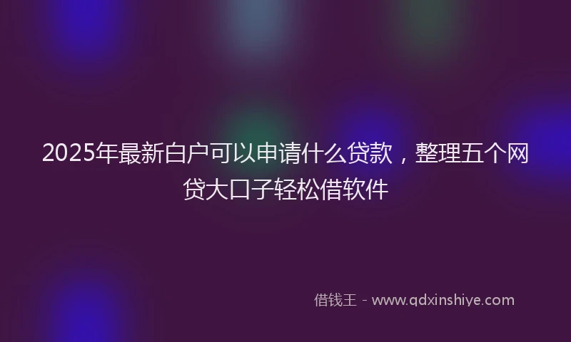 2025年最新白户可以申请什么贷款，整理五个网贷大口子轻松借软件