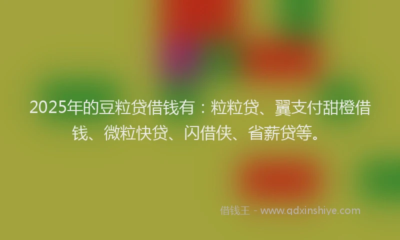 2025年的豆粒贷借钱有：粒粒贷、翼支付甜橙借钱、微粒快贷、闪借侠、省薪贷等。