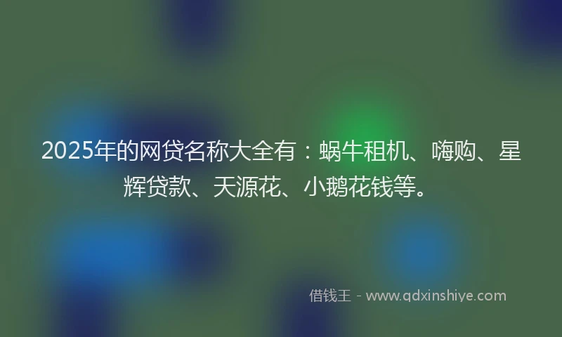 2025年的网贷名称大全有：蜗牛租机、嗨购、星辉贷款、天源花、小鹅花钱等。