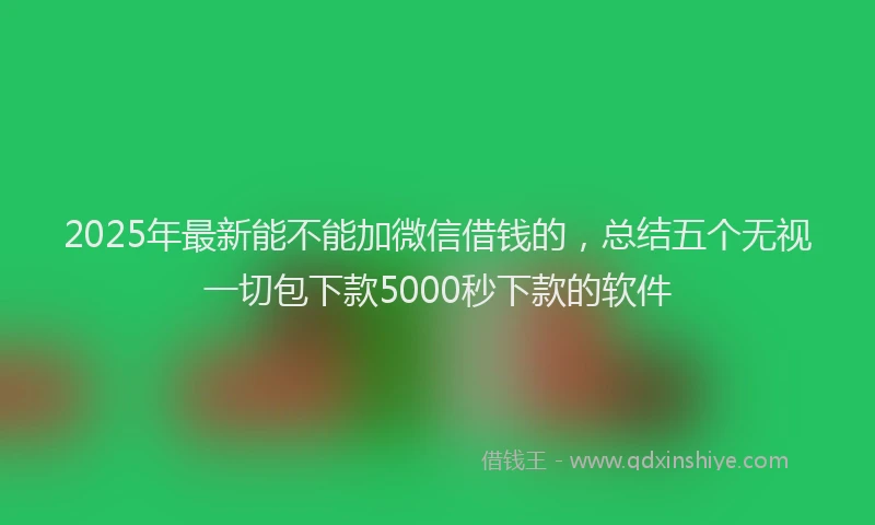2025年最新能不能加微信借钱的，总结五个无视一切包下款5000秒下款的软件