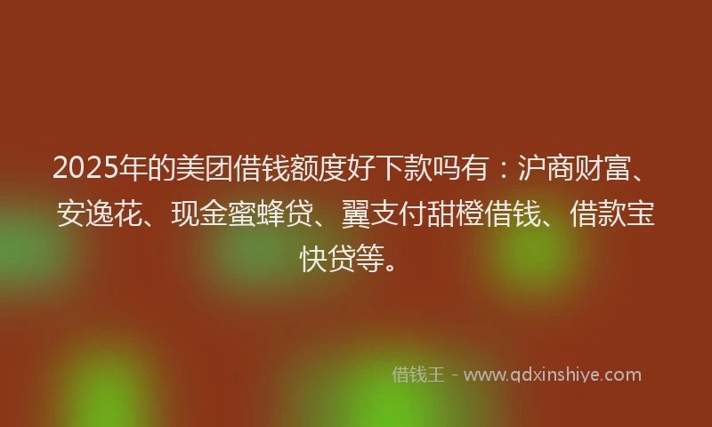 2025年的美团借钱额度好下款吗有：沪商财富、安逸花、现金蜜蜂贷、翼支付甜橙借钱、借款宝快贷等。