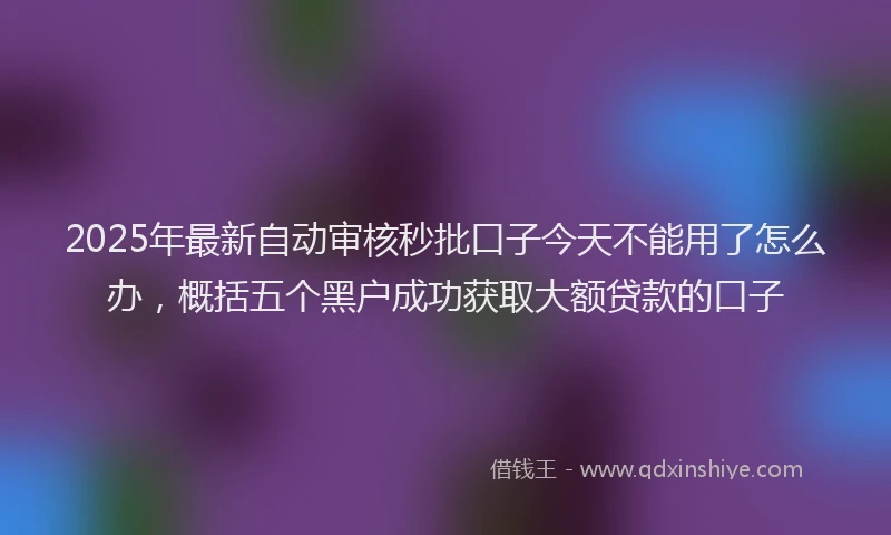 2025年最新自动审核秒批口子今天不能用了怎么办，概括五个黑户成功获取大额贷款的口子