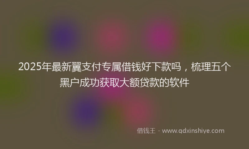 2025年最新翼支付专属借钱好下款吗，梳理五个黑户成功获取大额贷款的软件
