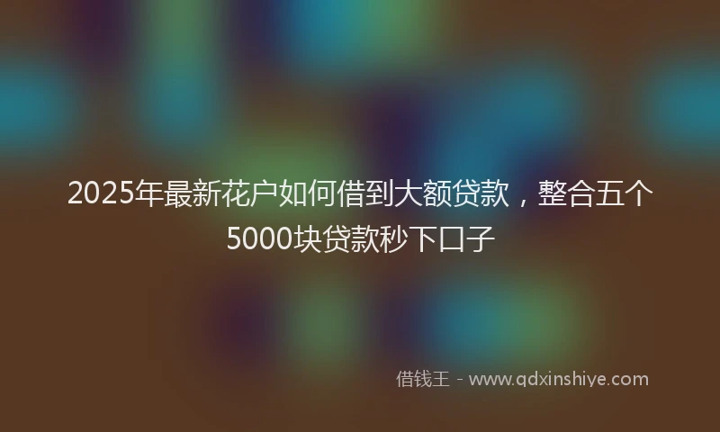 2025年最新花户如何借到大额贷款，整合五个5000块贷款秒下口子