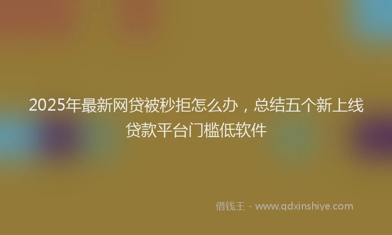 2025年最新网贷被秒拒怎么办，总结五个新上线贷款平台门槛低软件