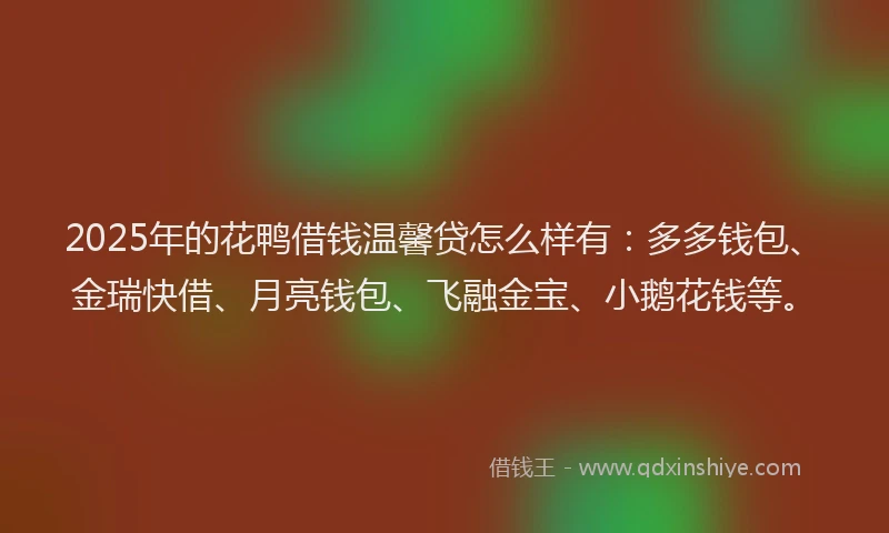 2025年的花鸭借钱温馨贷怎么样有：多多钱包、金瑞快借、月亮钱包、飞融金宝、小鹅花钱等。