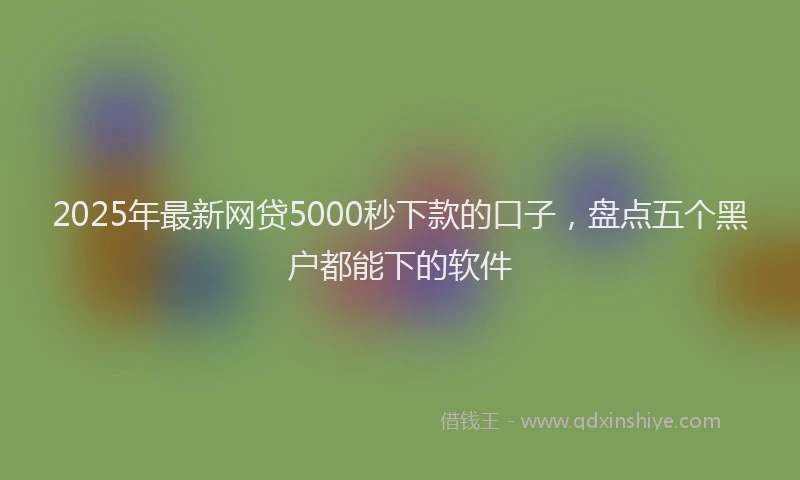 2025年最新网贷5000秒下款的口子，盘点五个黑户都能下的软件