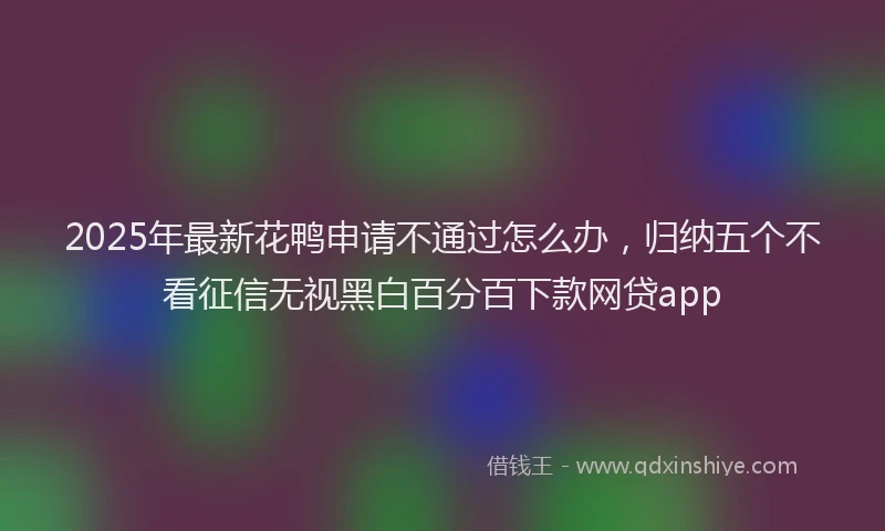 2025年最新花鸭申请不通过怎么办，归纳五个不看征信无视黑白百分百下款网贷app
