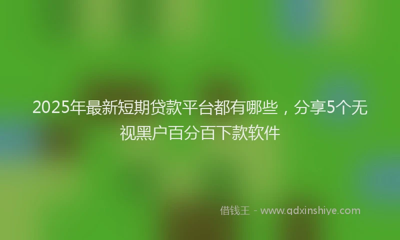 2025年最新短期贷款平台都有哪些，分享5个无视黑户百分百下款软件