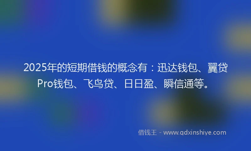 2025年的短期借钱的概念有：迅达钱包、翼贷Pro钱包、飞鸟贷、日日盈、瞬信通等。