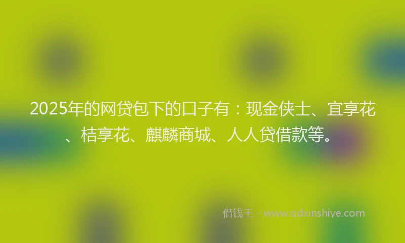 2025年的网贷包下的口子有：现金侠士、宜享花、桔享花、麒麟商城、人人贷借款等。