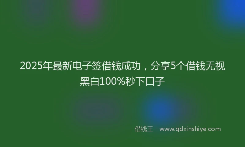 2025年最新电子签借钱成功，分享5个借钱无视黑白100%秒下口子
