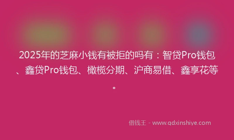 2025年的芝麻小钱有被拒的吗有：智贷Pro钱包、鑫贷Pro钱包、橄榄分期、沪商易借、鑫享花等。