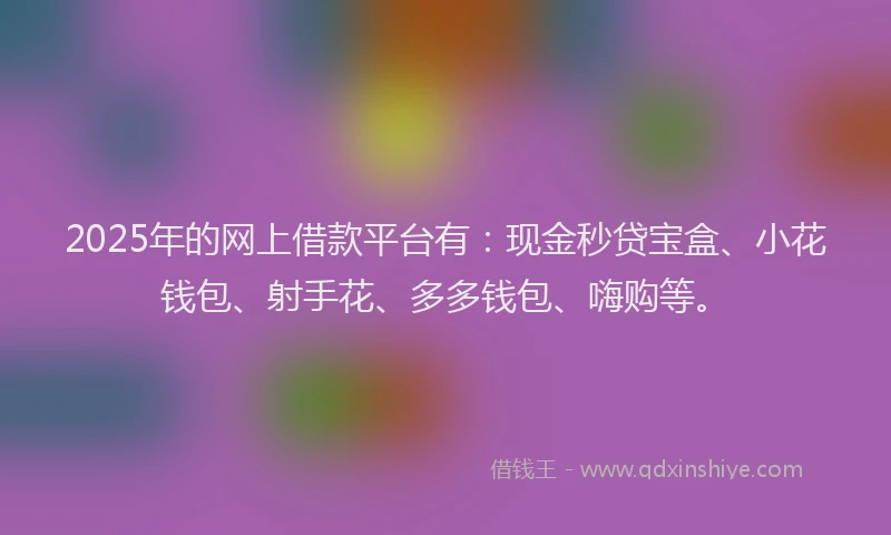 2025年的网上借款平台有：现金秒贷宝盒、小花钱包、射手花、多多钱包、嗨购等。