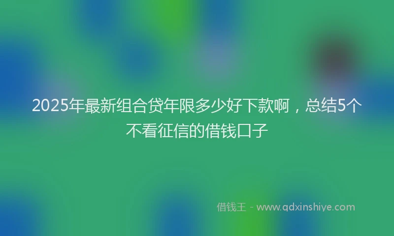 2025年最新组合贷年限多少好下款啊，总结5个不看征信的借钱口子