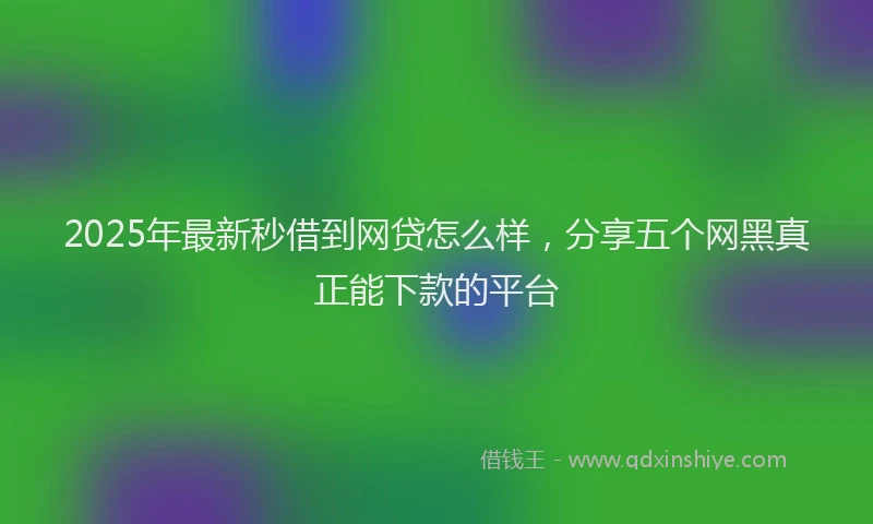 2025年最新秒借到网贷怎么样，分享五个网黑真正能下款的平台
