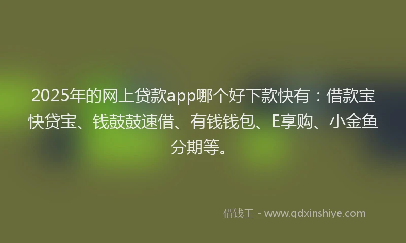 2025年的网上贷款app哪个好下款快有：借款宝快贷宝、钱鼓鼓速借、有钱钱包、E享购、小金鱼分期等。
