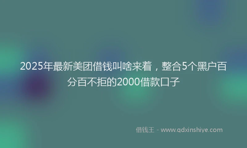 2025年最新美团借钱叫啥来着，整合5个黑户百分百不拒的2000借款口子