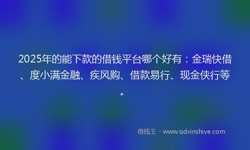 2025年的能下款的借钱平台哪个好有：金瑞快借、度小满金融、疾风购、借款易行、现金侠行等。