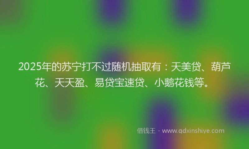 2025年的苏宁打不过随机抽取有：天美贷、葫芦花、天天盈、易贷宝速贷、小鹅花钱等。