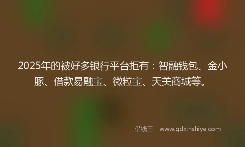 2025年的被好多银行平台拒有：智融钱包、金小豚、借款易融宝、微粒宝、天美商城等。