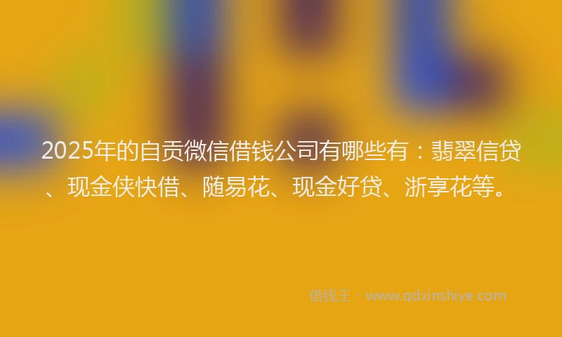 2025年的自贡微信借钱公司有哪些有：翡翠信贷、现金侠快借、随易花、现金好贷、浙享花等。