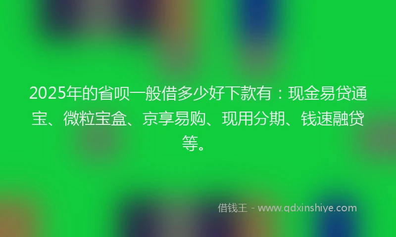 2025年的省呗一般借多少好下款有：现金易贷通宝、微粒宝盒、京享易购、现用分期、钱速融贷等。