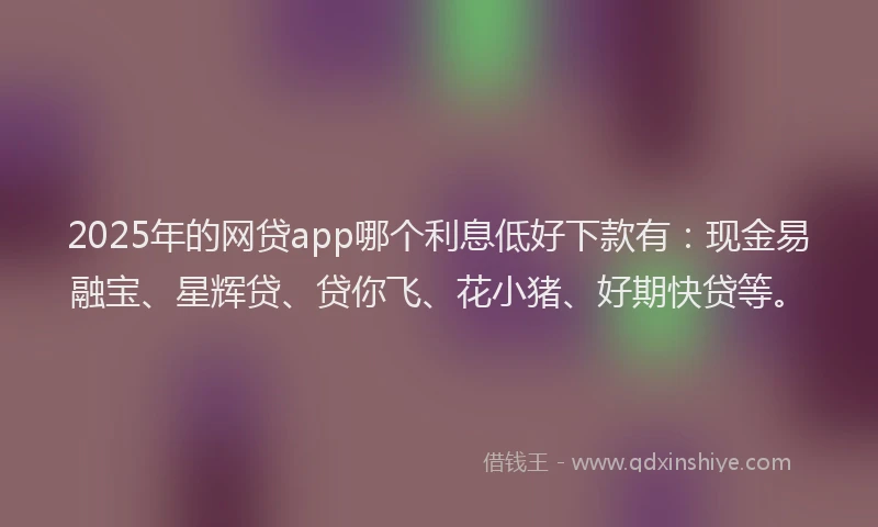 2025年的网贷app哪个利息低好下款有：现金易融宝、星辉贷、贷你飞、花小猪、好期快贷等。