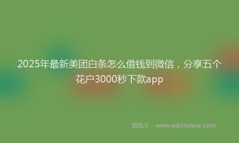 2025年最新美团白条怎么借钱到微信，分享五个花户3000秒下款app