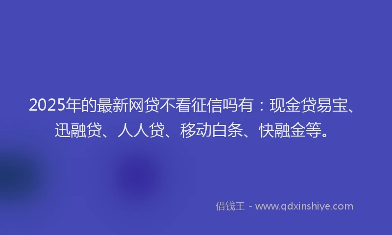 2025年的最新网贷不看征信吗有：现金贷易宝、迅融贷、人人贷、移动白条、快融金等。