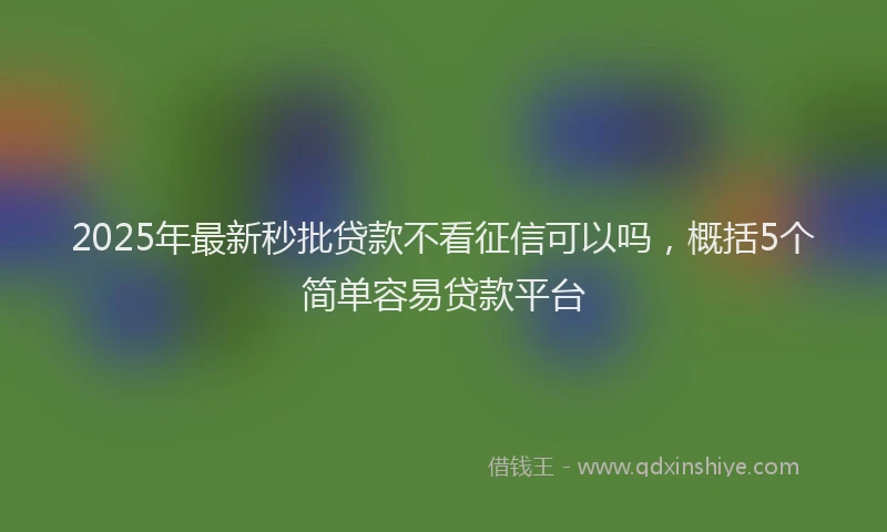 2025年最新秒批贷款不看征信可以吗，概括5个简单容易贷款平台