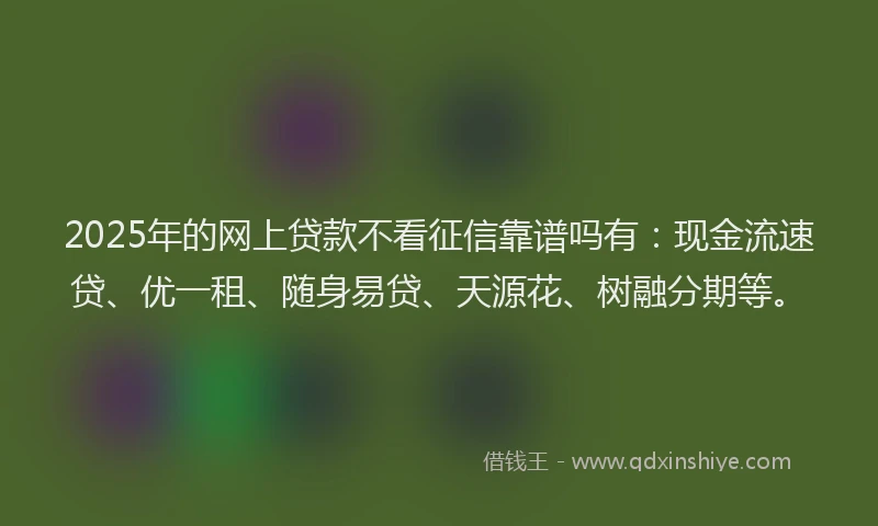 2025年的网上贷款不看征信靠谱吗有：现金流速贷、优一租、随身易贷、天源花、树融分期等。