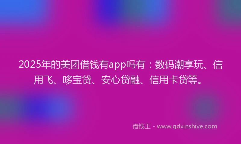 2025年的美团借钱有app吗有：数码潮享玩、信用飞、哆宝贷、安心贷融、信用卡贷等。