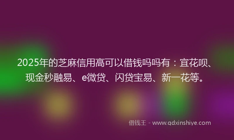 2025年的芝麻信用高可以借钱吗吗有：宜花呗、现金秒融易、e微贷、闪贷宝易、新一花等。