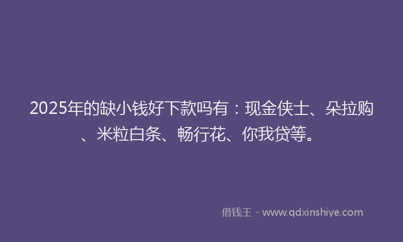 2025年的缺小钱好下款吗有：现金侠士、朵拉购、米粒白条、畅行花、你我贷等。