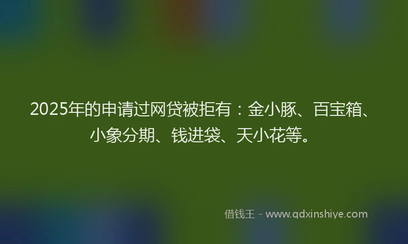 2025年的申请过网贷被拒有：金小豚、百宝箱、小象分期、钱进袋、天小花等。