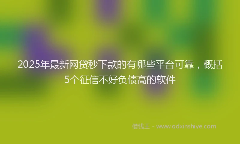 2025年最新网贷秒下款的有哪些平台可靠，概括5个征信不好负债高的软件